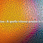 Question : À quelle vitesse pousse le tilapia